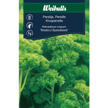 Kruspersille 'Moskrul Speedseed'